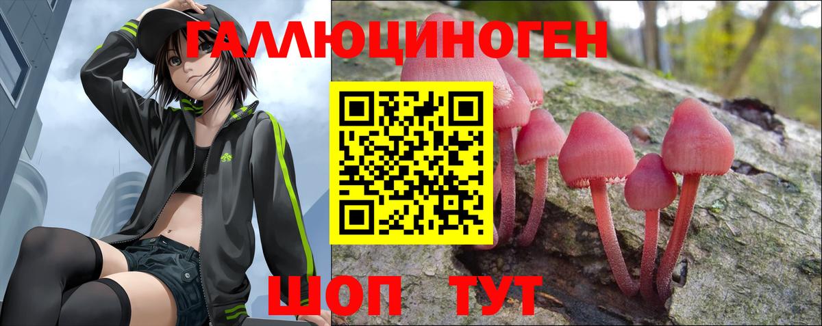 Киров  Псилоцибиновые грибы мицелий  Вход с VPN  Галлюциногенные грибы мухоморы 